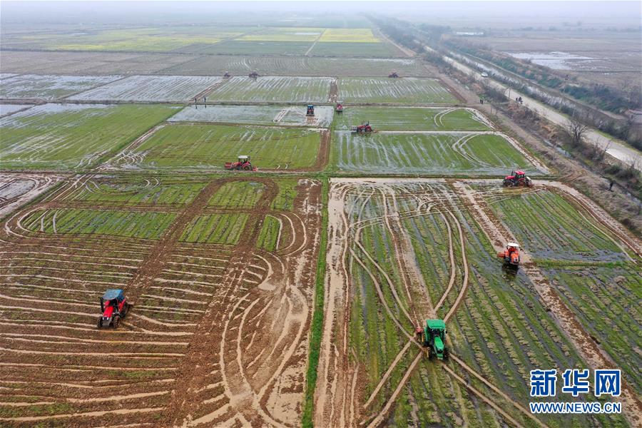 （抓好春耕備耕 穩(wěn)住農(nóng)業(yè)生產(chǎn)&middot;圖文互動）（2）智能農(nóng)機、&ldquo;訂單&rdquo;服務、&ldquo;云端&rdquo;種菜&mdash;&mdash;來自江西的春耕&ldquo;新事&rdquo;