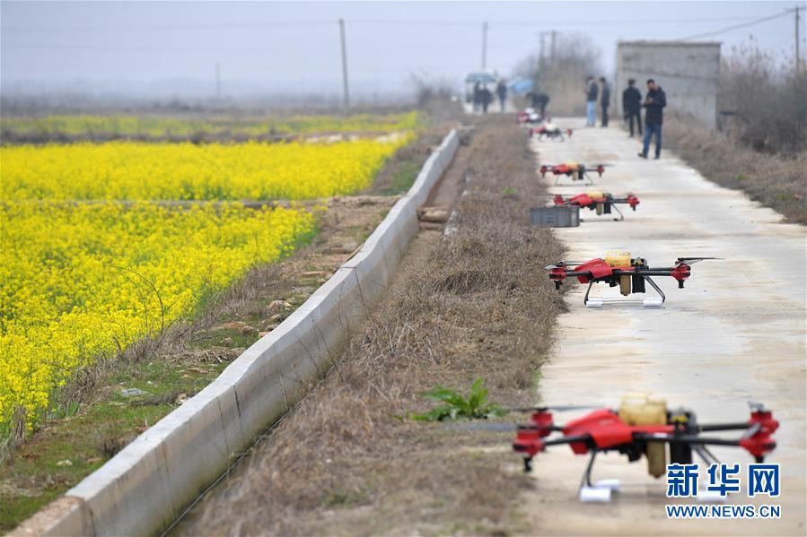 （抓好春耕備耕 穩(wěn)住農(nóng)業(yè)生產(chǎn)&middot;圖文互動）（4）智能農(nóng)機、&ldquo;訂單&rdquo;服務、&ldquo;云端&rdquo;種菜&mdash;&mdash;來自江西的春耕&ldquo;新事&rdquo;