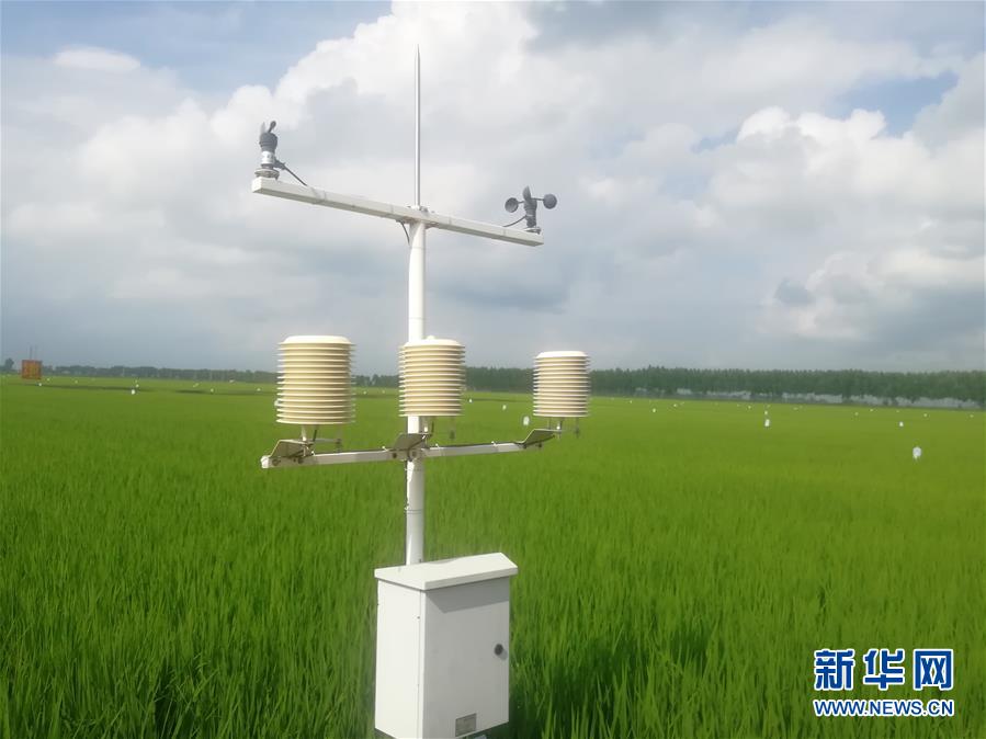 (在習近平新時代中國特色社會主義思想指引下——新時代新作為新篇章·習近平總書記關切事·圖文互動)(8)為農(nóng)田注入硬核生產(chǎn)力——一些地方春耕中農(nóng)業(yè)科技創(chuàng)新掃描