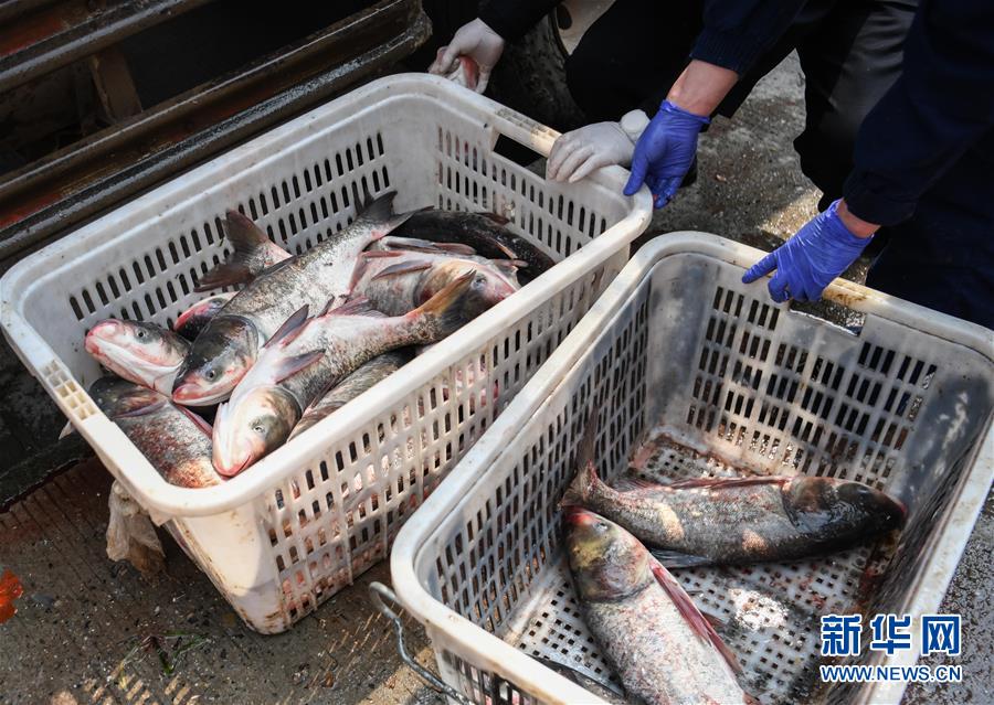 （聚焦疫情防控）（6）咸寧為武漢加&ldquo;魚&rdquo;