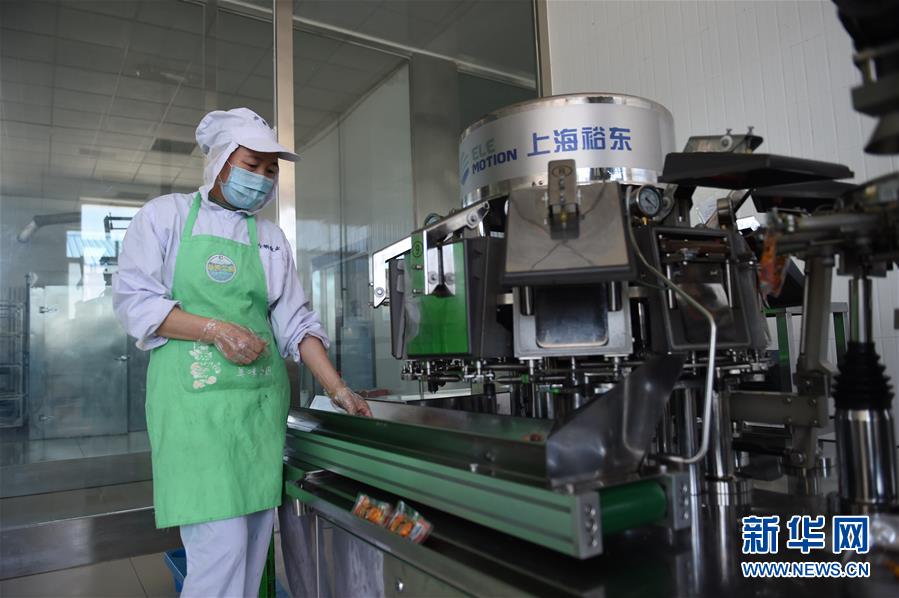 （在習近平新時代中國特色社會主義思想指引下&mdash;&mdash;新時代新作為新篇章&middot;習近平總書記關切事&middot;圖文互動）（8）穩(wěn)住千家萬戶的&ldquo;飯碗&rdquo;&mdash;&mdash;各地積極穩(wěn)就業(yè)化解疫情影響