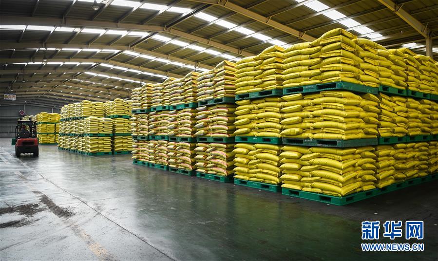 (新華全媒頭條·圖文互動(dòng))(3)在艱難中重啟 在陣痛中復(fù)蘇——湖北推動(dòng)安全有序復(fù)工復(fù)產(chǎn)掃描