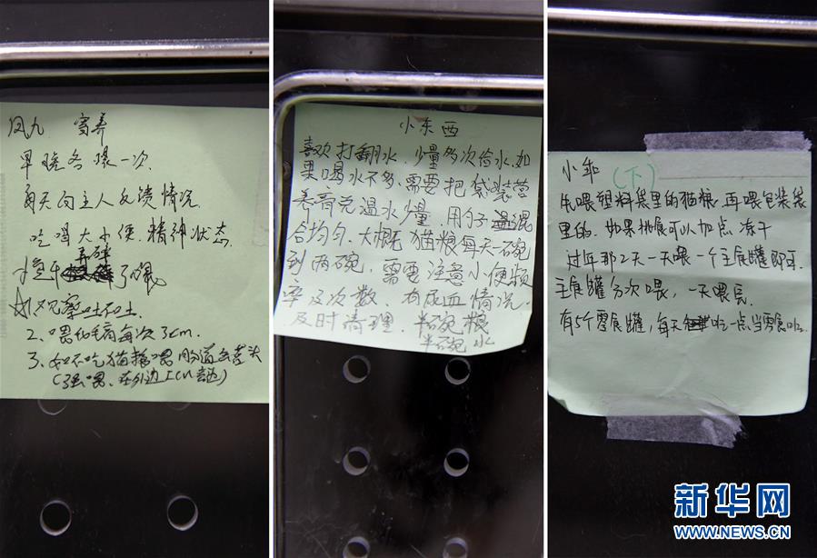 （聚焦疫情防控）（4）武漢：動(dòng)物醫(yī)院里的臨時(shí)&ldquo;奶爸&rdquo;