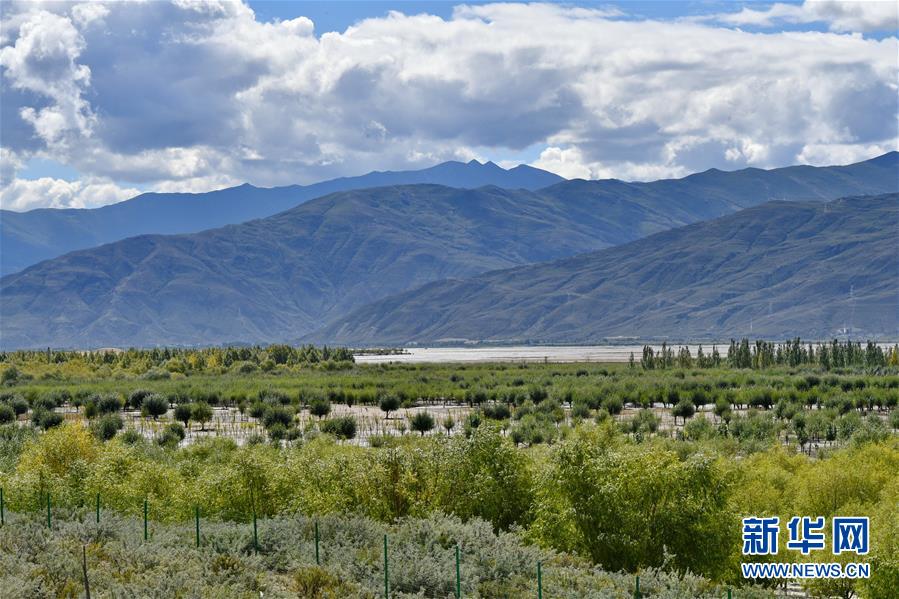 （圖文互動）（4）&ldquo;今天的生活，就像夢里夢到那樣甜&rdquo;&mdash;&mdash;寫在西藏百萬農(nóng)奴解放61周年之際