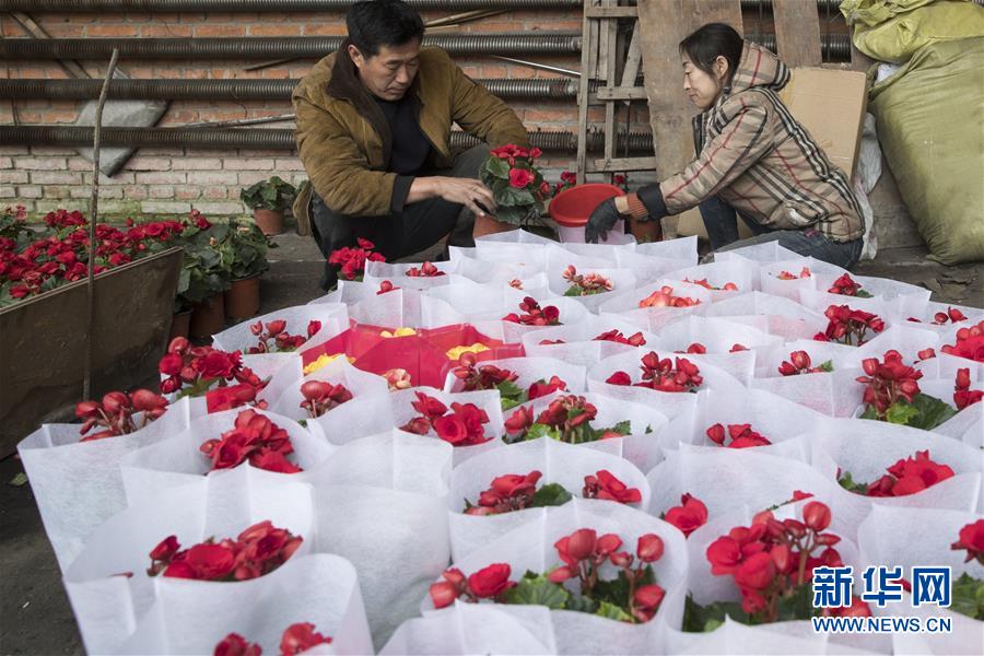 （在習近平新時代中國特色社會主義思想指引下&mdash;&mdash;新時代新作為新篇章&middot;習近平總書記關(guān)切事&middot;圖文互動）（1）希望的田野，希望的春天&mdash;&mdash;各地農(nóng)業(yè)生產(chǎn)新動態(tài)掃描