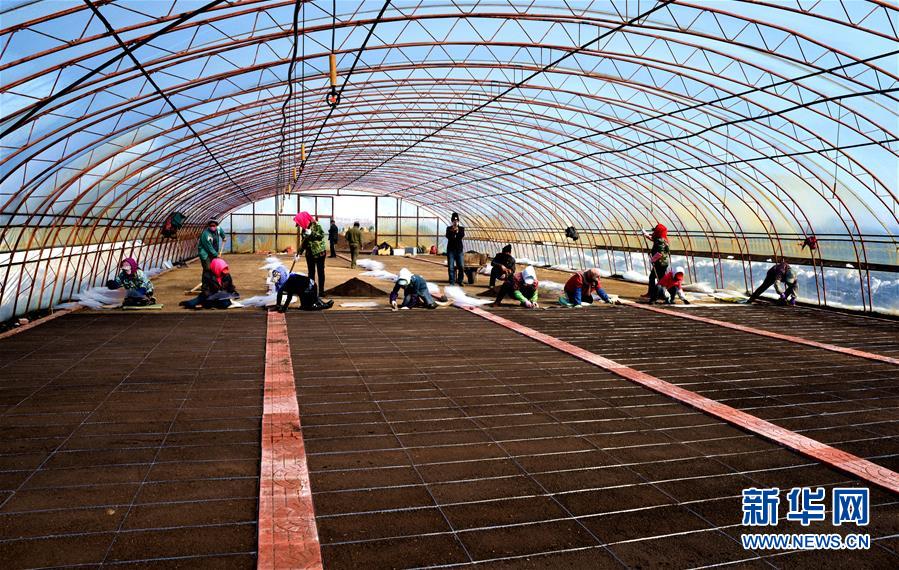 （在習近平新時代中國特色社會主義思想指引下&mdash;&mdash;新時代新作為新篇章&middot;習近平總書記關(guān)切事&middot;圖文互動）（5）希望的田野，希望的春天&mdash;&mdash;各地農(nóng)業(yè)生產(chǎn)新動態(tài)掃描