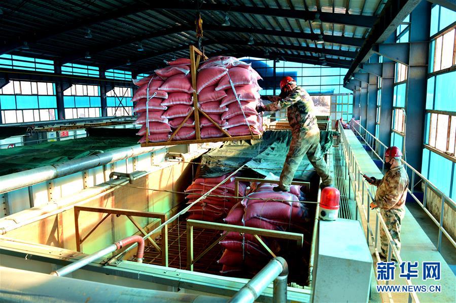 （在習近平新時代中國特色社會主義思想指引下&mdash;&mdash;新時代新作為新篇章&middot;習近平總書記關(guān)切事&middot;圖文互動）（6）希望的田野，希望的春天&mdash;&mdash;各地農(nóng)業(yè)生產(chǎn)新動態(tài)掃描