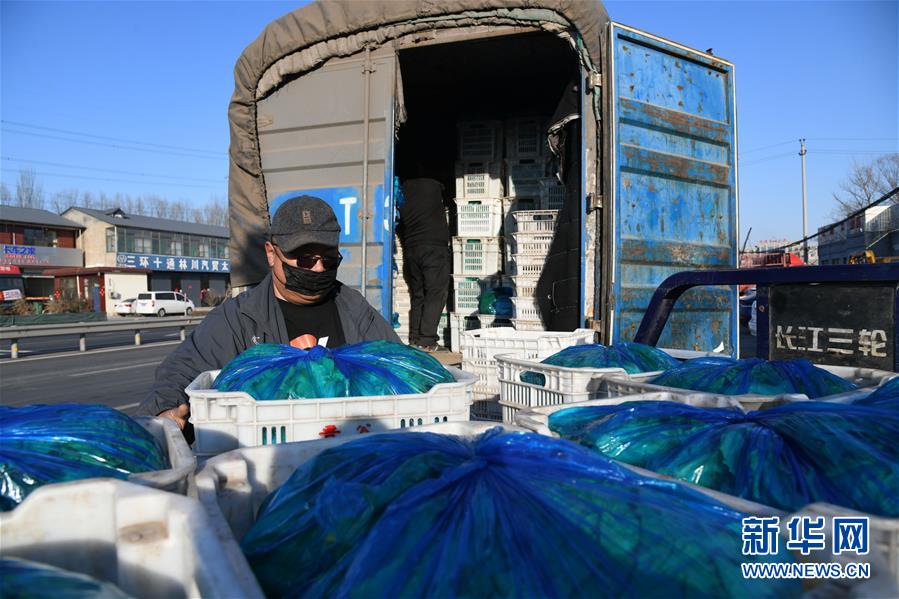 （在習(xí)近平新時(shí)代中國(guó)特色社會(huì)主義思想指引下&mdash;&mdash;新時(shí)代新作為新篇章&middot;習(xí)近平總書(shū)記關(guān)切事&middot;圖文互動(dòng)）（3）抗疫之下 保供無(wú)憂