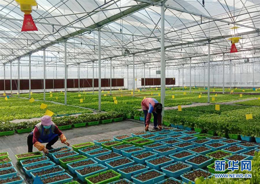 （在習(xí)近平新時(shí)代中國(guó)特色社會(huì)主義思想指引下&mdash;&mdash;新時(shí)代新作為新篇章&middot;習(xí)近平總書(shū)記關(guān)切事&middot;圖文互動(dòng)）（5）抗疫之下 保供無(wú)憂