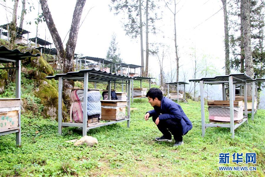 （決戰(zhàn)決勝脫貧攻堅&middot;圖文互動）（3）寄相思，償夙愿&mdash;&mdash;5封清明&ldquo;家書&rdquo;里的決戰(zhàn)決勝信念