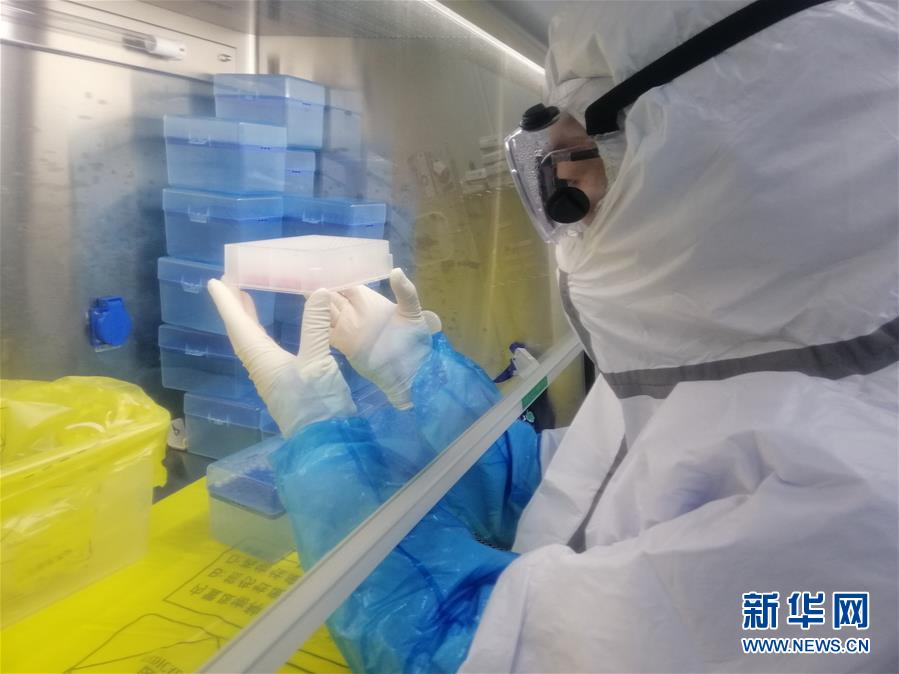 (一線抗疫群英譜·圖文互動)(2)“95后”大學(xué)生郝鶯歌:退掉車票,她選擇直面病毒