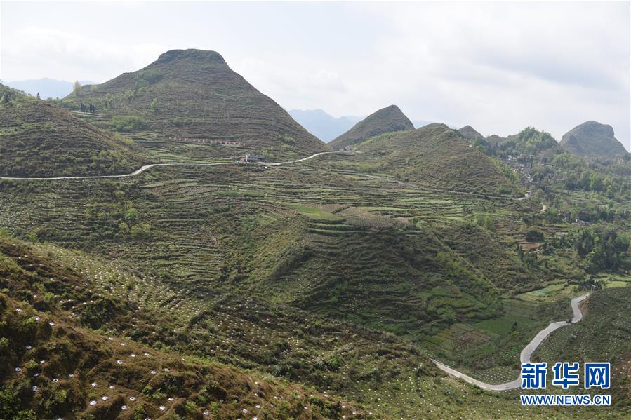 （決戰(zhàn)決勝脫貧攻堅&middot;圖文互動）（1）逐項逐戶排查補齊脫貧攻堅&ldquo;短板&rdquo;&mdash;&mdash;貴州晴隆縣扶貧一線工作見聞 