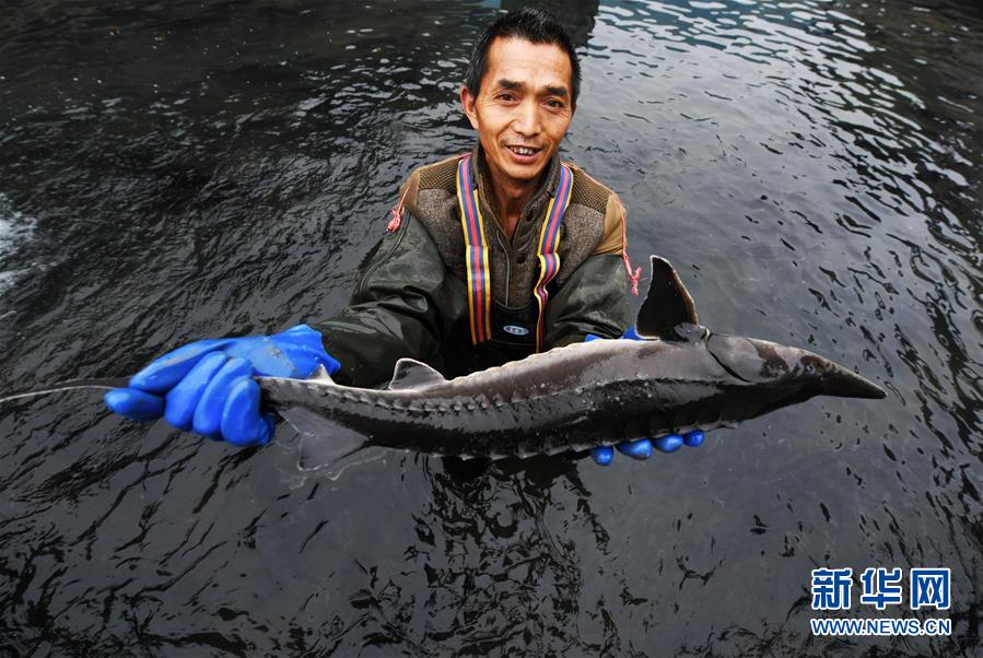 （決戰(zhàn)決勝脫貧攻堅&middot;圖文互動）（4）多重保障 不漏一人&mdash;&mdash;貴州一個脫貧&ldquo;摘帽&rdquo;縣的防貧機(jī)制探索