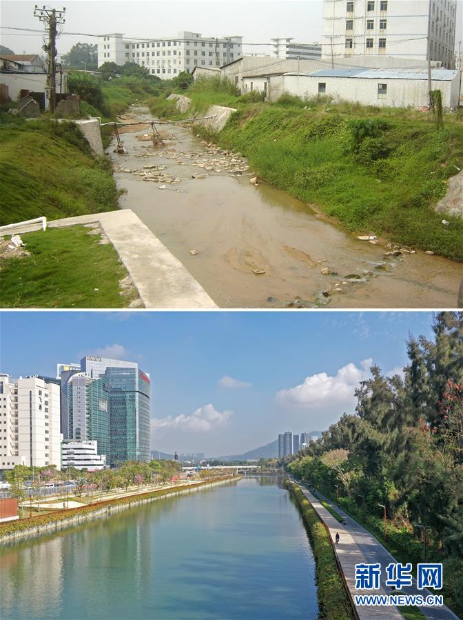 (新華全媒頭條·圖文互動(dòng))(2)為有源頭清水來——深圳“馴水記”