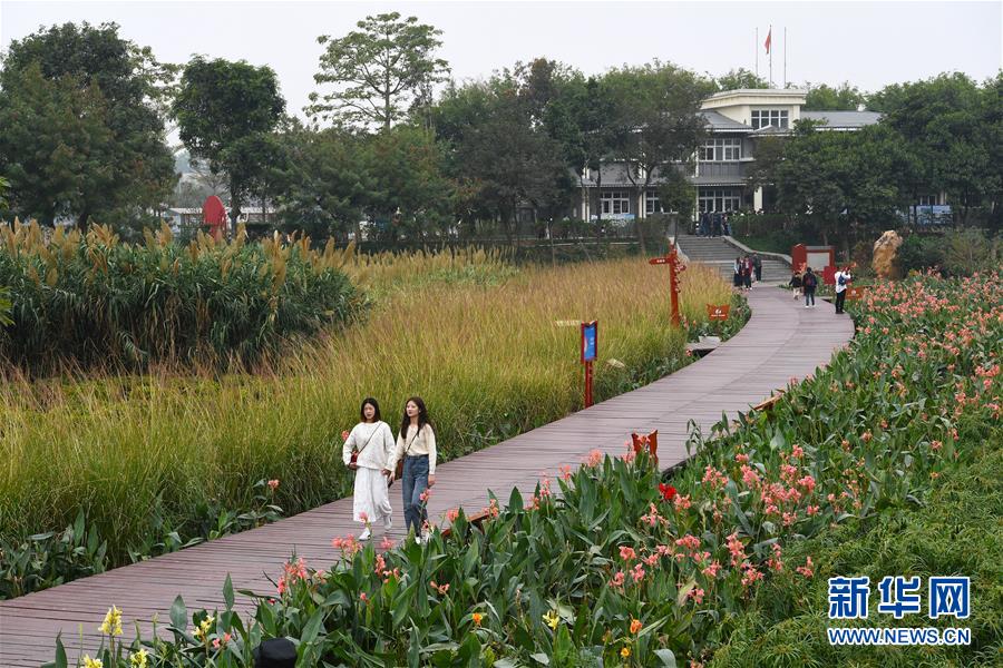 (新華全媒頭條·圖文互動(dòng))(4)為有源頭清水來——深圳“馴水記”