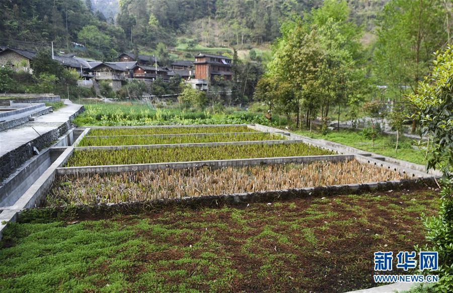 (圖文互動)(3)“消失”的小南海