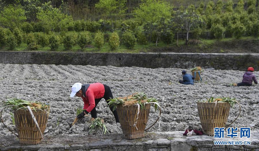 (圖文互動)(7)“消失”的小南海