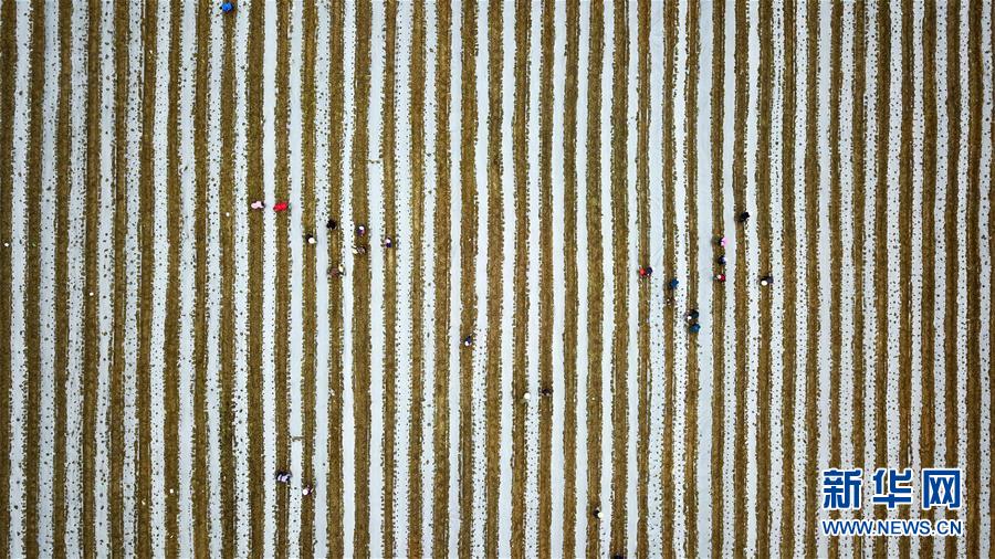 (在習(xí)近平新時(shí)代中國特色社會主義思想指引下——新時(shí)代新作為新篇章·習(xí)近平總書記關(guān)切事·圖文互動)(6)啃下最后的硬骨頭——脫貧攻堅(jiān)掛牌督戰(zhàn)進(jìn)行時(shí)