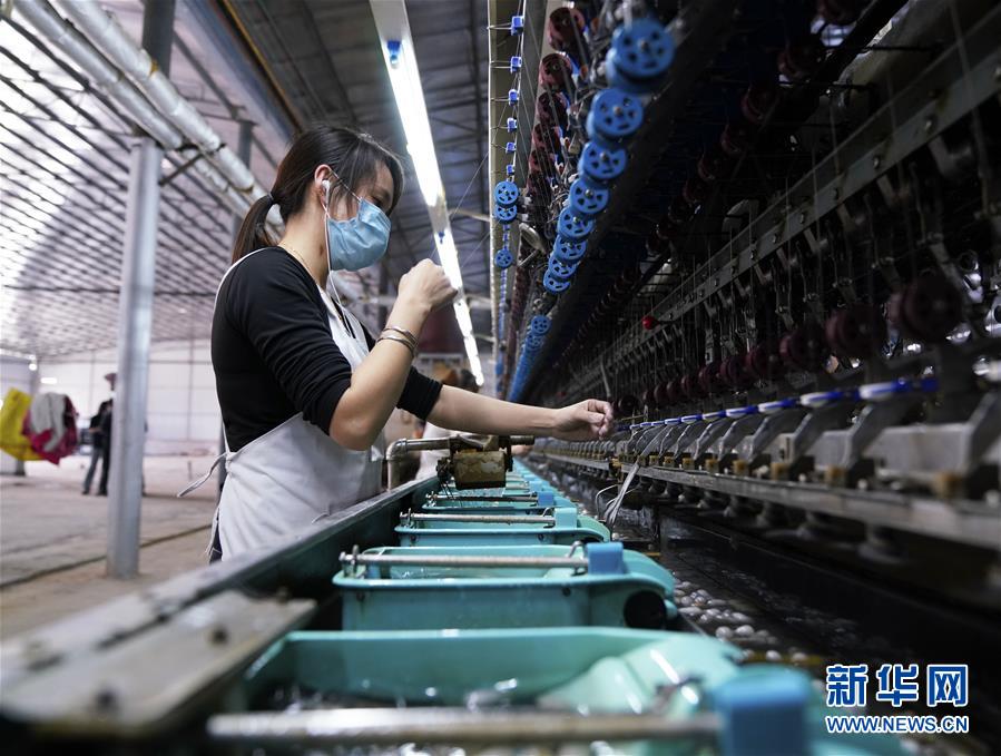 (決戰(zhàn)決勝脫貧攻堅(jiān)·圖文互動(dòng))(4)貧困戶的“收入賬”——廣西極貧縣隆林各族自治縣見(jiàn)聞