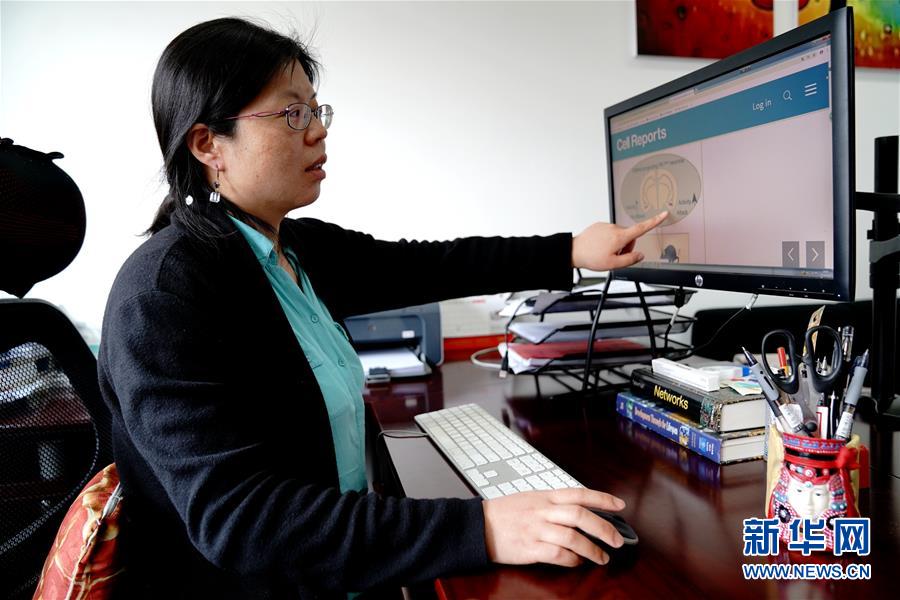 （圖文互動）（1）攻擊行為如何被大腦控制？科學家在小鼠大腦中發(fā)現(xiàn)&ldquo;調節(jié)開關&rdquo;