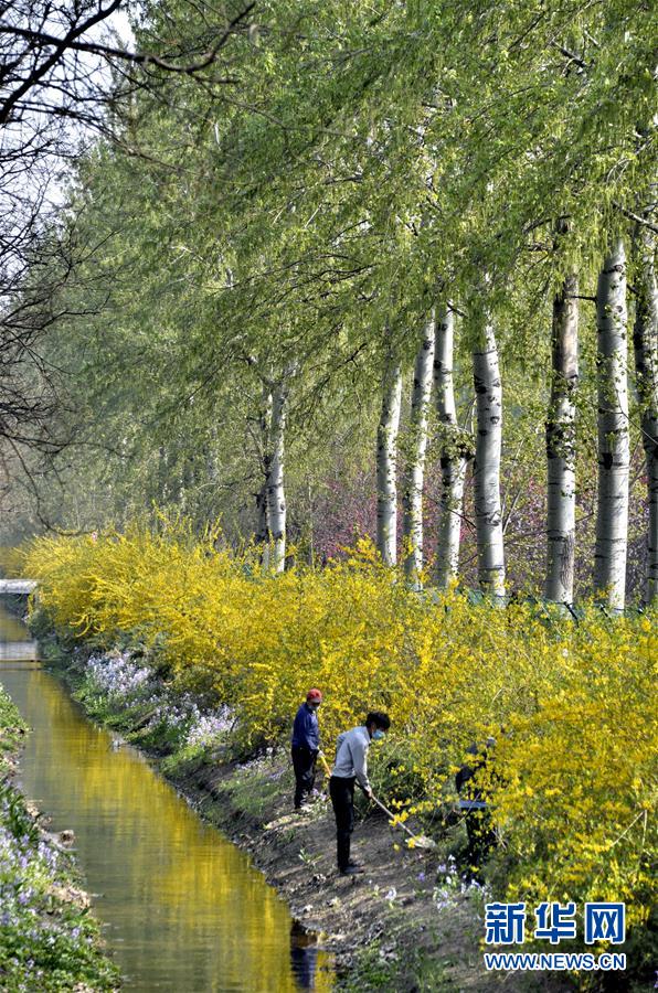 (新華全媒頭條·圖文互動)(4)永遠(yuǎn)的夢想 永恒的追求——寫在北京世園會開幕一周年之際