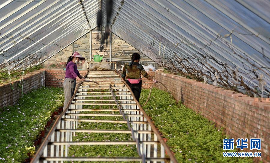 （圖文互動(dòng)）（2）這座小城，鐫刻下怎樣的&ldquo;世園印記&rdquo;&mdash;&mdash;北京世園會(huì)開(kāi)園一周年探訪延慶