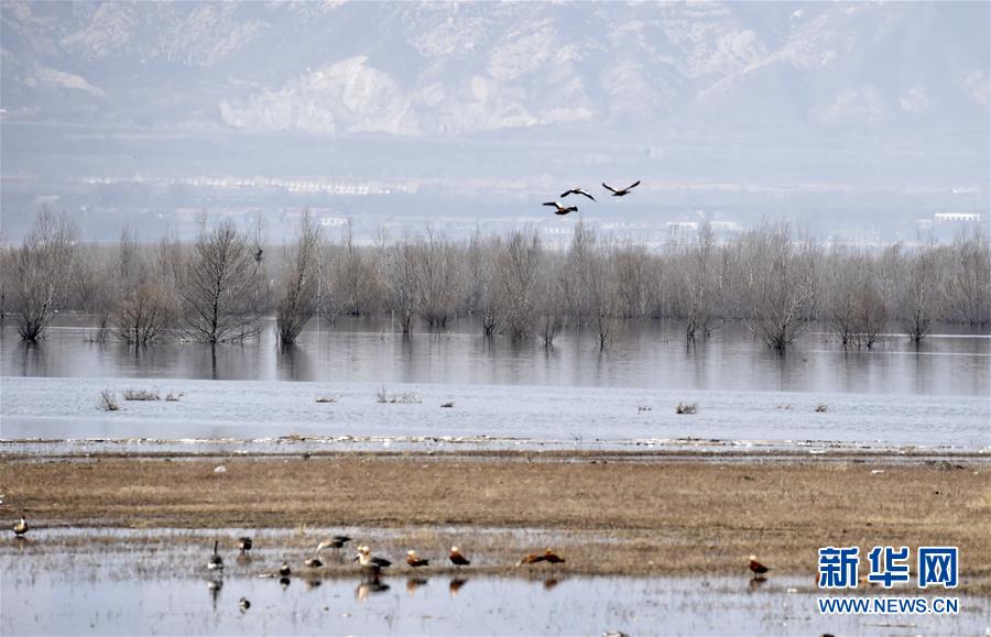 （圖文互動(dòng)）（3）這座小城，鐫刻下怎樣的&ldquo;世園印記&rdquo;&mdash;&mdash;北京世園會(huì)開(kāi)園一周年探訪延慶
