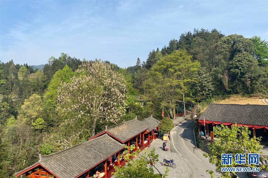 (決戰(zhàn)決勝脫貧攻堅(jiān)·圖文互動)(1)深山苗寨的別樣春天——疫情下的十八洞村見聞