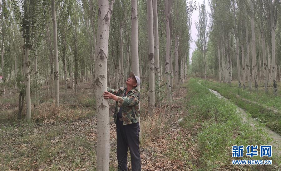 (圖文互動)(4)記者手記:向“看不見”的勞動者和他們的夢想致敬