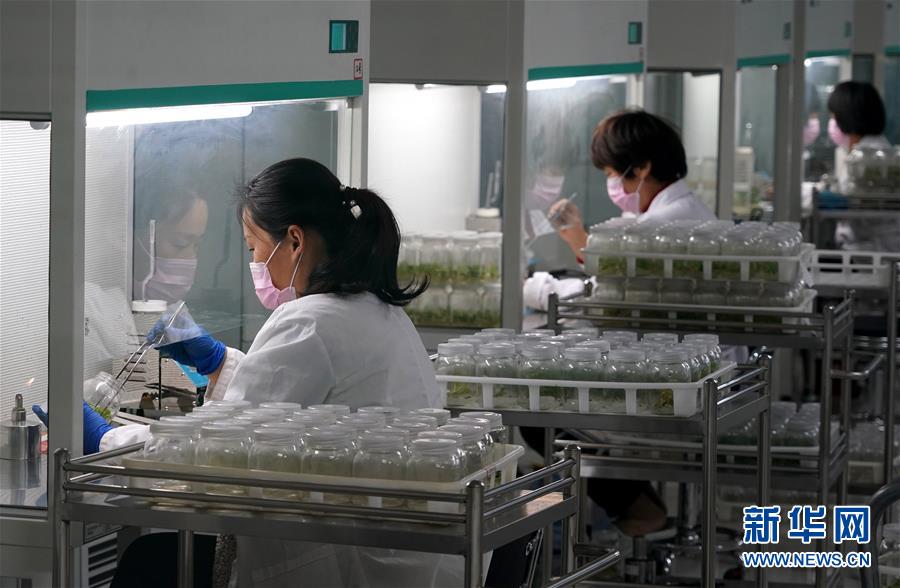 (來(lái)自一線的調(diào)查報(bào)告·圖文互動(dòng))(6)搶出一個(gè)身位謀發(fā)展——河南許昌經(jīng)濟(jì)復(fù)蘇見聞