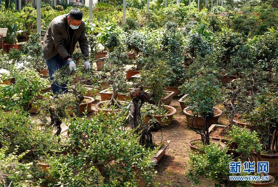 (來(lái)自一線的調(diào)查報(bào)告·圖文互動(dòng))(7)搶出一個(gè)身位謀發(fā)展——河南許昌經(jīng)濟(jì)復(fù)蘇見聞