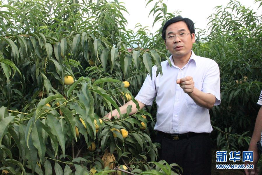 （圖文互動）（2）&ldquo;為脫貧而來，為脫貧而去&rdquo;&mdash;&mdash;追記湖南炎陵縣委原書記黃詩燕 