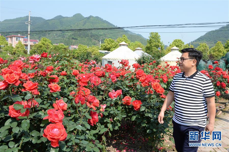 (決戰(zhàn)決勝脫貧攻堅·圖文互動)(6)理發(fā)師“修剪”鄉(xiāng)村游一團亂麻