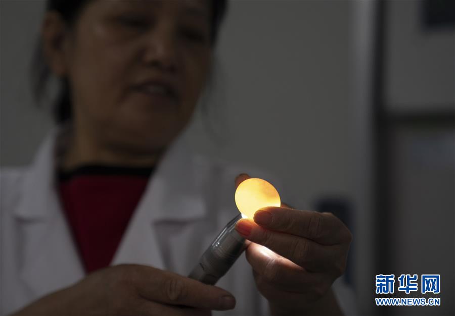 (決戰(zhàn)決勝脫貧攻堅(jiān)·圖文互動(dòng))(2)小鴿子帶來(lái)大希望——河北阜平硒鴿產(chǎn)業(yè)“飛翔”記