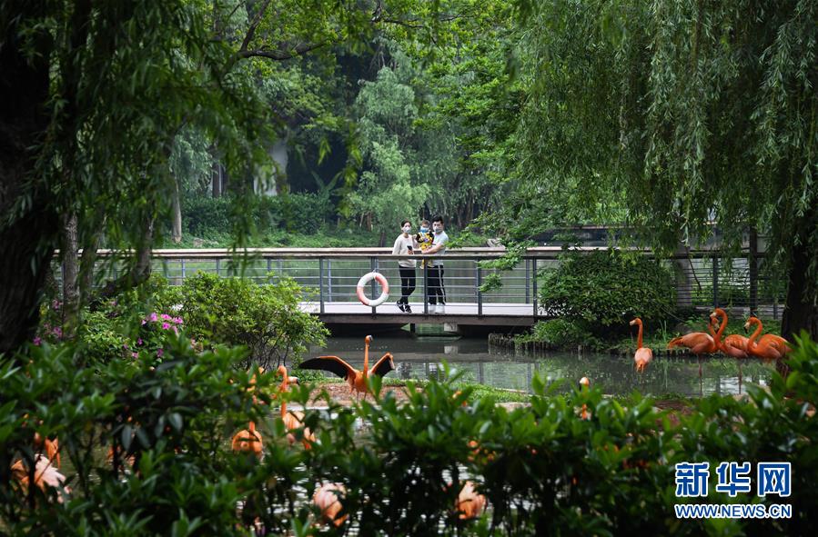 (在習(xí)近平新時(shí)代中國特色社會(huì)主義思想指引下——新時(shí)代新作為新篇章·習(xí)近平總書記關(guān)切事·圖文互動(dòng))(8)疫情防控不減壓 復(fù)工復(fù)產(chǎn)正加速——武漢“解封”滿月觀察