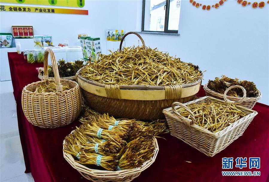 （新華全媒頭條&middot;圖文互動）（3）初夏，循著總書記的腳步探訪產(chǎn)業(yè)扶貧新事