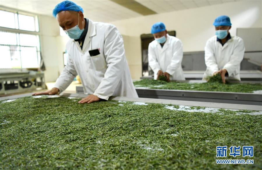 （新華全媒頭條&middot;圖文互動）（22）從人民中汲取磅礴力量&mdash;&mdash;習(xí)近平總書記同出席2020年全國兩會人大代表、政協(xié)委員共商國是紀(jì)實(shí)