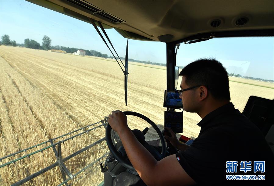 （關(guān)注三夏&middot;圖文互動(dòng)）（2）麥田&ldquo;后浪&rdquo;的農(nóng)事新說