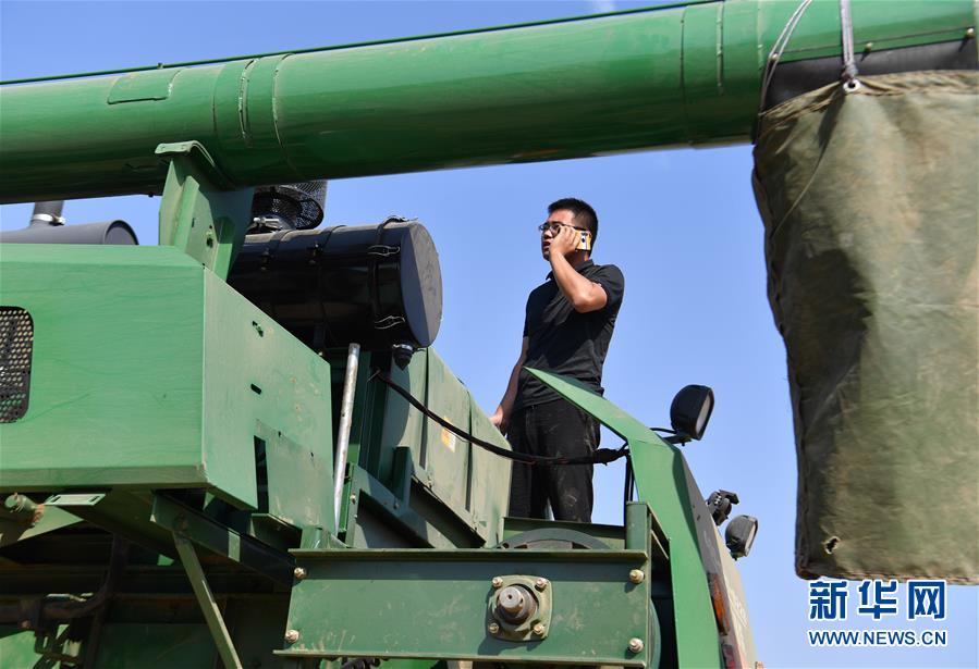 （關(guān)注三夏&middot;圖文互動(dòng)）（4）麥田&ldquo;后浪&rdquo;的農(nóng)事新說