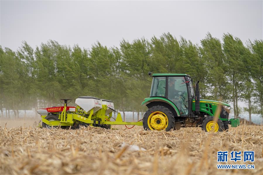 （在習近平新時代中國特色社會主義思想指引下&mdash;&mdash;新時代新作為新篇章&middot;習近平總書記關切事&middot;圖文互動）（9）讓農(nóng)民挑上&ldquo;金扁擔&rdquo;&mdash;&mdash;農(nóng)業(yè)現(xiàn)代化的生動實踐掃描