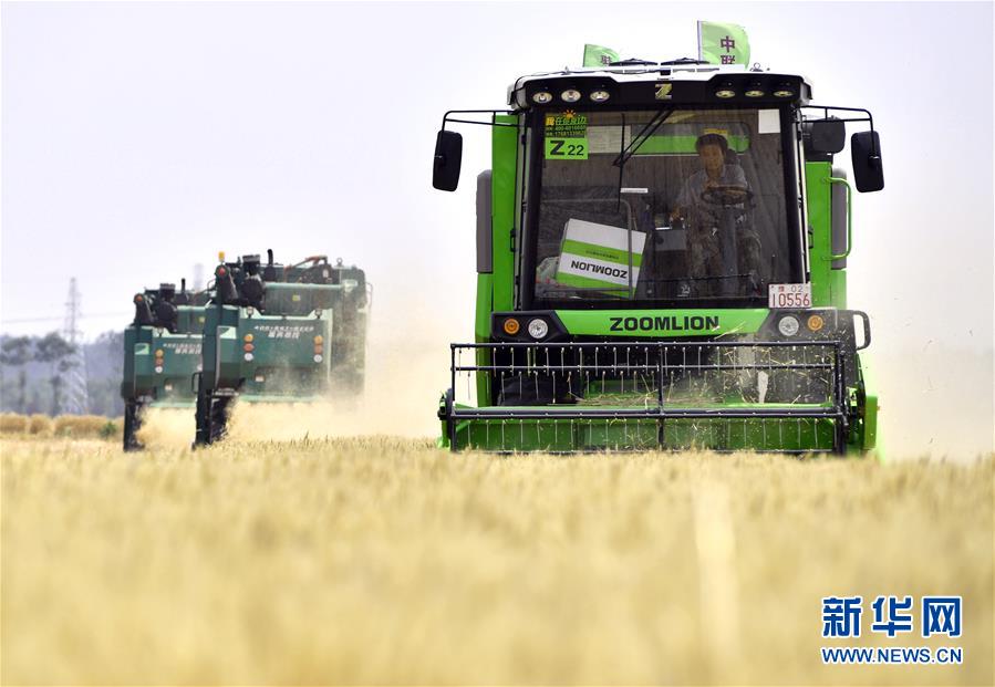 （在習近平新時代中國特色社會主義思想指引下&mdash;&mdash;新時代新作為新篇章&middot;習近平總書記關切事&middot;圖文互動）（12）讓農(nóng)民挑上&ldquo;金扁擔&rdquo;&mdash;&mdash;農(nóng)業(yè)現(xiàn)代化的生動實踐掃描