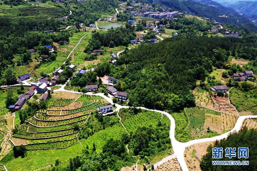 (新華全媒頭條·圖文互動(dòng))(11)待到滿山紅葉時(shí)——三峽重慶庫區(qū)踐行新發(fā)展理念面面觀