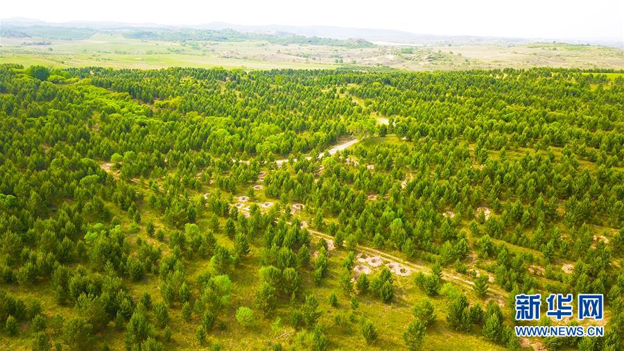 (新華全媒頭條·圖文互動)(8)京津最近“大沙盆”逆轉(zhuǎn)記