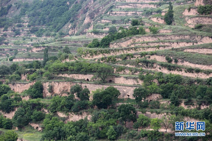 (決戰(zhàn)決勝脫貧攻堅·圖文互動)(5)魚漁兼授 志智雙扶——窮溝溝“菜富記”