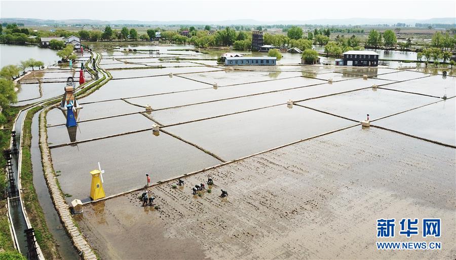 (在習(xí)近平新時代中國特色社會主義思想指引下——新時代新作為新篇章·習(xí)近平總書記關(guān)切事·圖文互動)(1)讓每一寸耕地都成為豐收的沃土——我國加強耕地保護推進“藏糧于地”