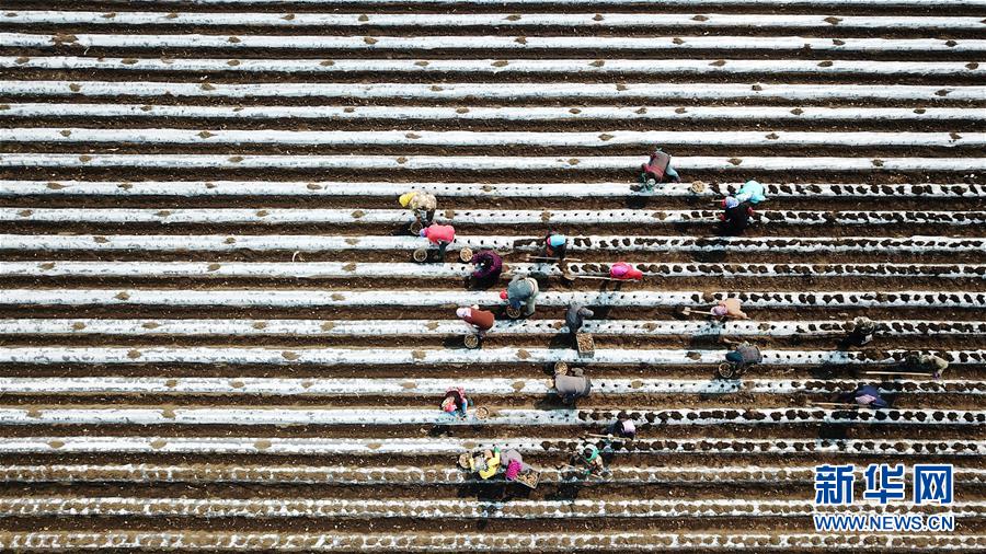 (在習(xí)近平新時(shí)代中國特色社會(huì)主義思想指引下——新時(shí)代新作為新篇章·習(xí)近平總書記關(guān)切事·圖文互動(dòng))(2)讓每一寸耕地都成為豐收的沃土——我國加強(qiáng)耕地保護(hù)推進(jìn)“藏糧于地”