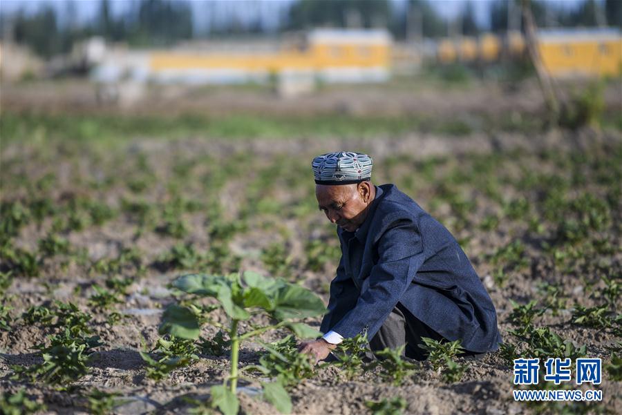(圖文互動)(5)“沙漠高地”的美好家園