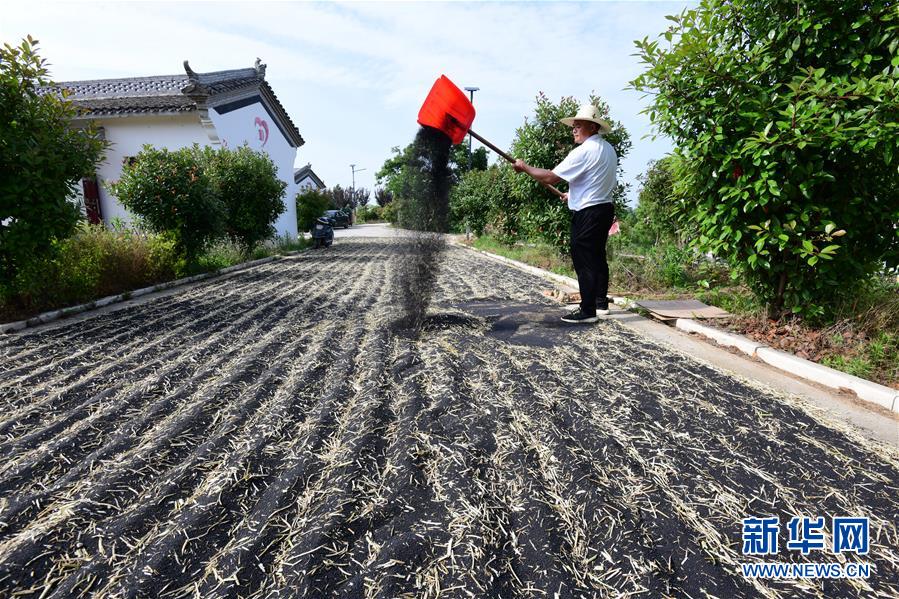 （決戰(zhàn)決勝脫貧攻堅&middot;圖文互動）（1）貧困戶老楊的人生&ldquo;三級跳&rdquo;