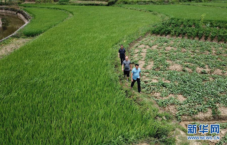 （圖文互動(dòng)）（6）湘南深山，堅(jiān)守扶貧一線的黨員之家