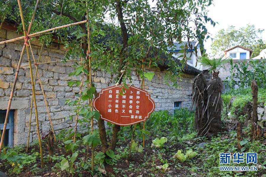 （鄉(xiāng)村振興&middot;圖文互動(dòng)）（6）海壩成&ldquo;畫(huà)&rdquo;